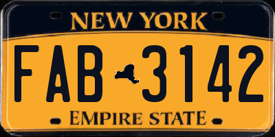 NY license plate FAB3142