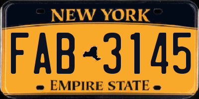 NY license plate FAB3145