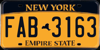 NY license plate FAB3163