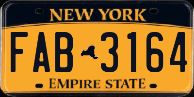 NY license plate FAB3164