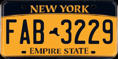 NY license plate FAB3229