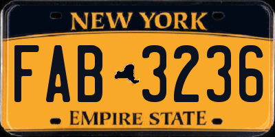 NY license plate FAB3236