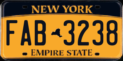 NY license plate FAB3238