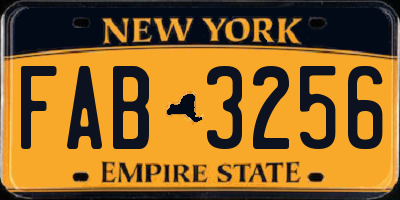 NY license plate FAB3256