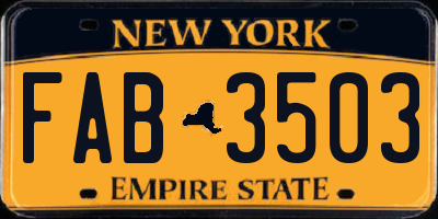 NY license plate FAB3503