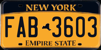 NY license plate FAB3603