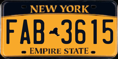 NY license plate FAB3615