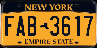 NY license plate FAB3617