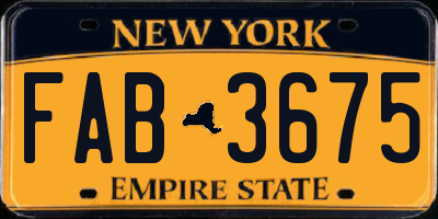 NY license plate FAB3675