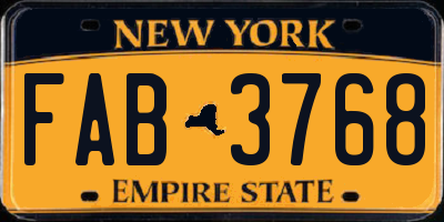 NY license plate FAB3768