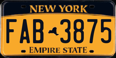 NY license plate FAB3875