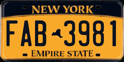 NY license plate FAB3981