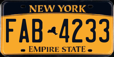 NY license plate FAB4233