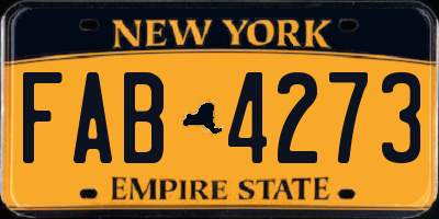 NY license plate FAB4273