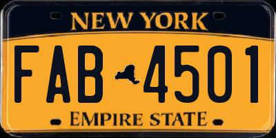 NY license plate FAB4501