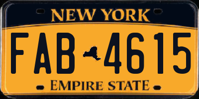 NY license plate FAB4615