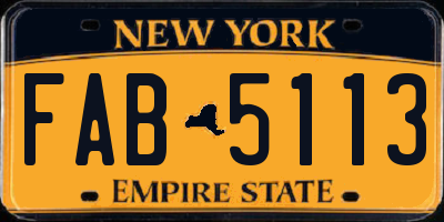 NY license plate FAB5113