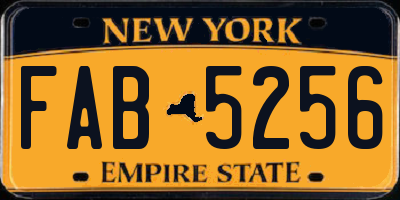 NY license plate FAB5256