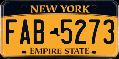 NY license plate FAB5273