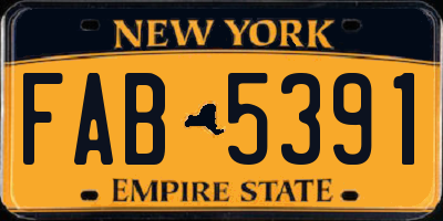 NY license plate FAB5391