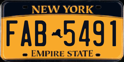 NY license plate FAB5491