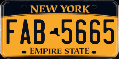 NY license plate FAB5665