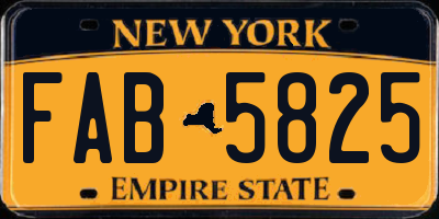 NY license plate FAB5825