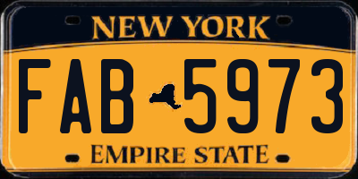 NY license plate FAB5973