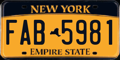NY license plate FAB5981