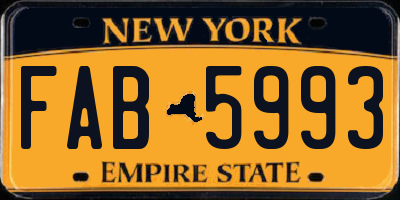 NY license plate FAB5993