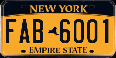 NY license plate FAB6001
