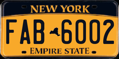 NY license plate FAB6002