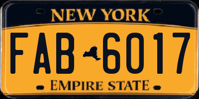 NY license plate FAB6017