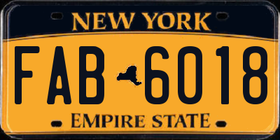 NY license plate FAB6018