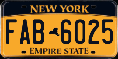 NY license plate FAB6025