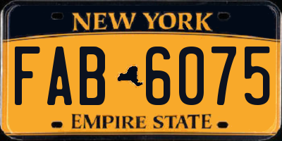 NY license plate FAB6075