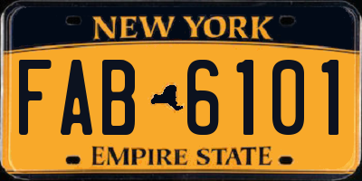 NY license plate FAB6101