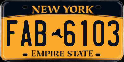 NY license plate FAB6103