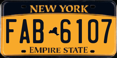 NY license plate FAB6107