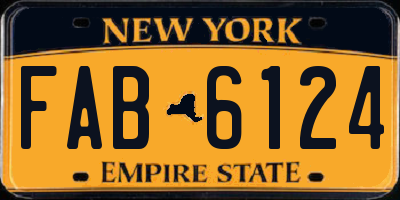 NY license plate FAB6124