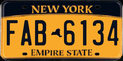 NY license plate FAB6134