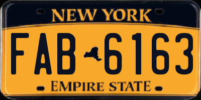 NY license plate FAB6163