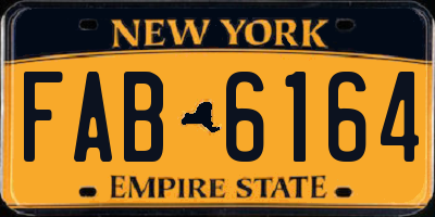 NY license plate FAB6164