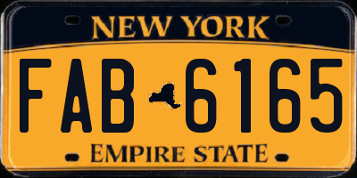 NY license plate FAB6165