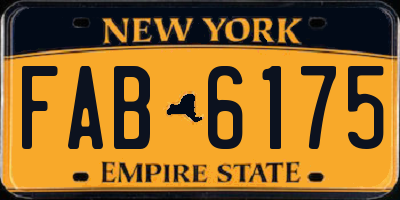 NY license plate FAB6175