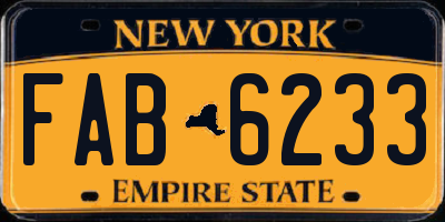 NY license plate FAB6233