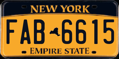 NY license plate FAB6615