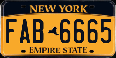 NY license plate FAB6665