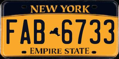 NY license plate FAB6733