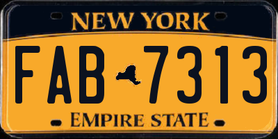 NY license plate FAB7313